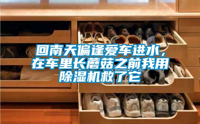 回南天偏逢愛車進水，在車里長蘑菇之前我用除濕機救了它