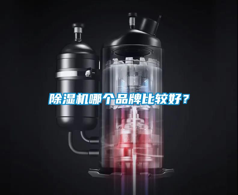 除濕機(jī)哪個(gè)品牌比較好？