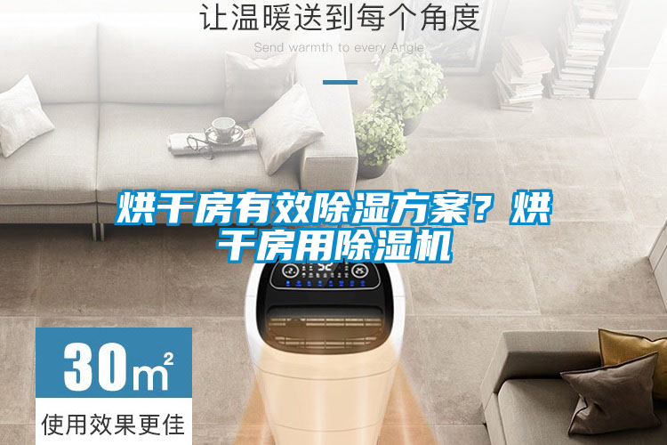烘干房有效除濕方案？烘干房用除濕機