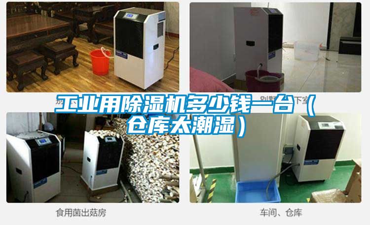 工業(yè)用除濕機(jī)多少錢一臺(tái)（倉庫太潮濕）