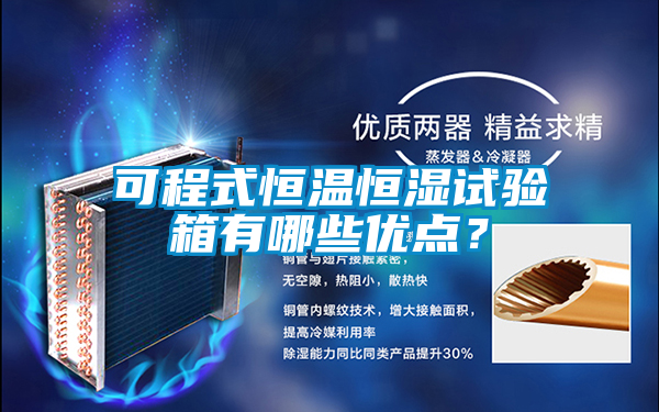可程式恒溫恒濕試驗箱有哪些優(yōu)點？