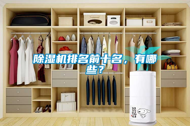 除濕機排名前十名，有哪些？