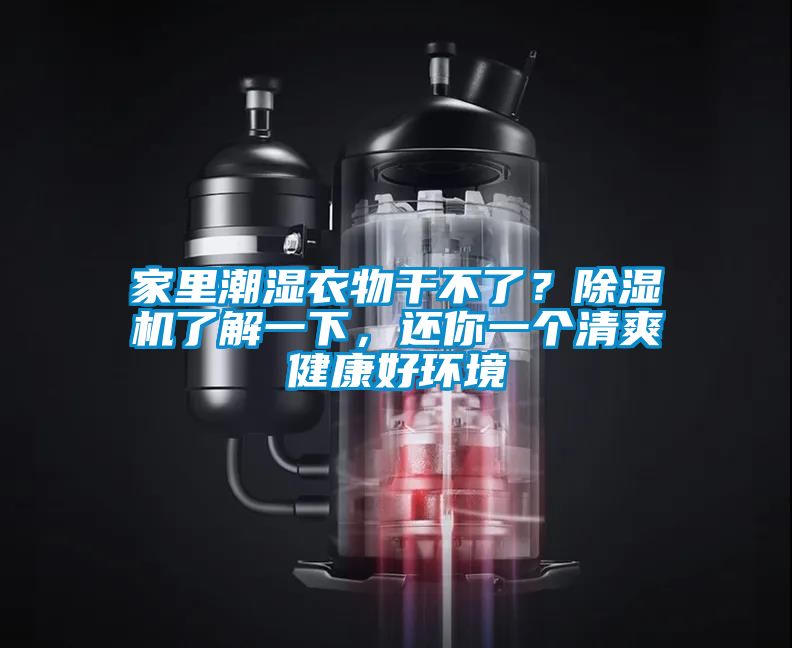 家里潮濕衣物干不了？除濕機(jī)了解一下，還你一個清爽健康好環(huán)境