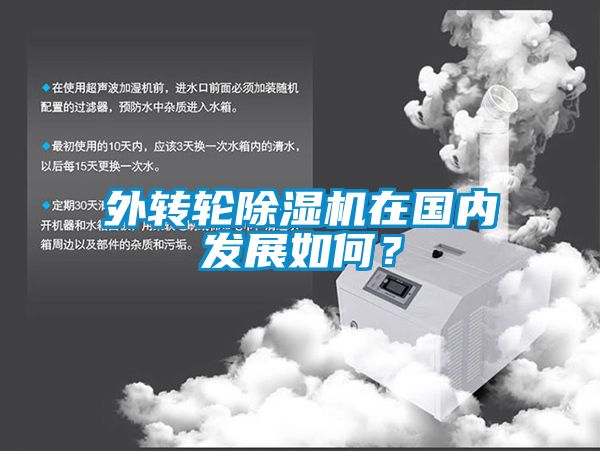 外轉輪除濕機在國內發展如何？