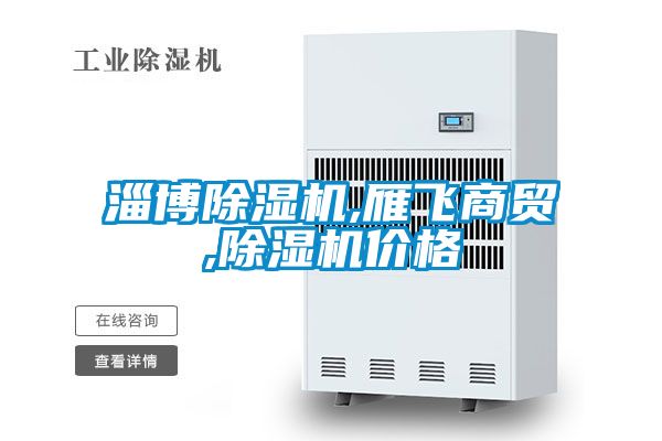 淄博除濕機,雁飛商貿(mào),除濕機價格