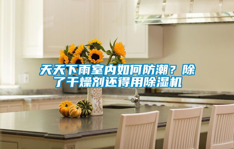 天天下雨室內如何防潮？除了干燥劑還得用除濕機