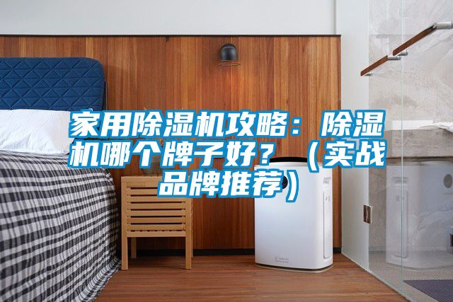 家用除濕機攻略：除濕機哪個牌子好？（實戰品牌推薦）