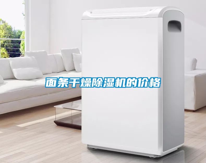 面條干燥除濕機(jī)的價格