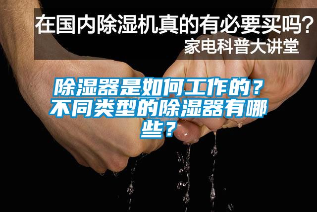 除濕器是如何工作的？不同類型的除濕器有哪些？