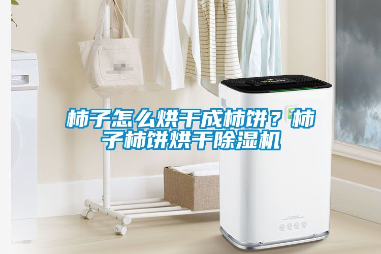 柿子怎么烘干成柿餅？柿子柿餅烘干除濕機