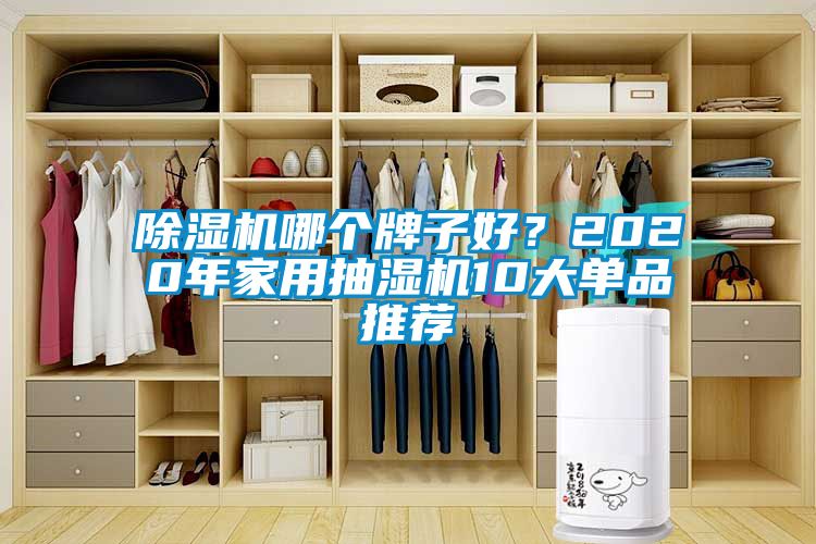 除濕機哪個牌子好？2020年家用抽濕機10大單品推薦