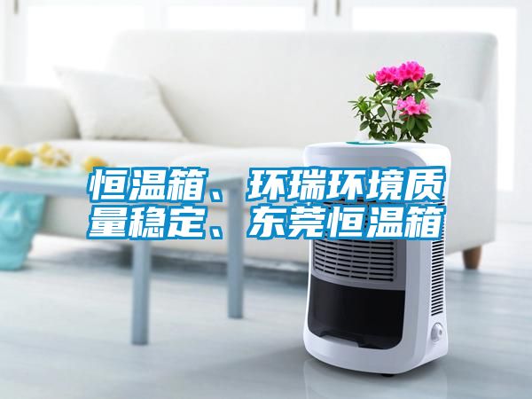 恒溫箱、環瑞環境質量穩定、東莞恒溫箱