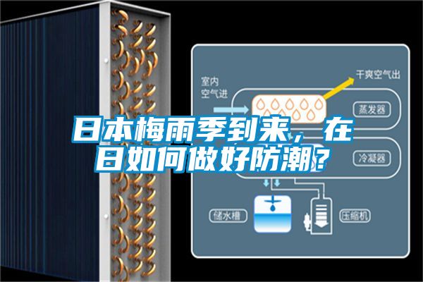 日本梅雨季到來，在日如何做好防潮？
