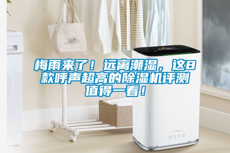 梅雨來了！遠離潮濕，這8款呼聲超高的除濕機評測值得一看！