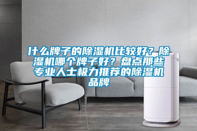 什么牌子的除濕機比較好？除濕機哪個牌子好？盤點那些專業人士極力推薦的除濕機品牌