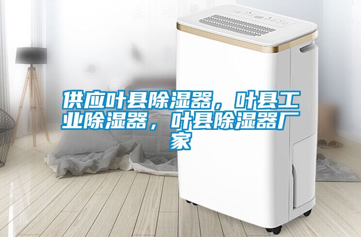 供應葉縣除濕器，葉縣工業除濕器，葉縣除濕器廠家