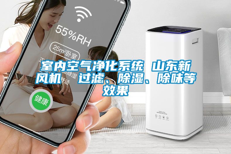 室內(nèi)空氣凈化系統(tǒng) 山東新風(fēng)機  過濾、除濕、除味等效果