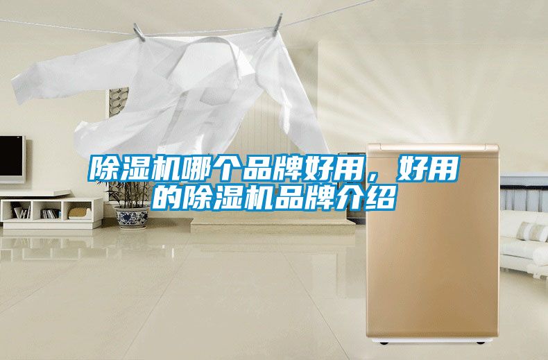 除濕機(jī)哪個品牌好用，好用的除濕機(jī)品牌介紹