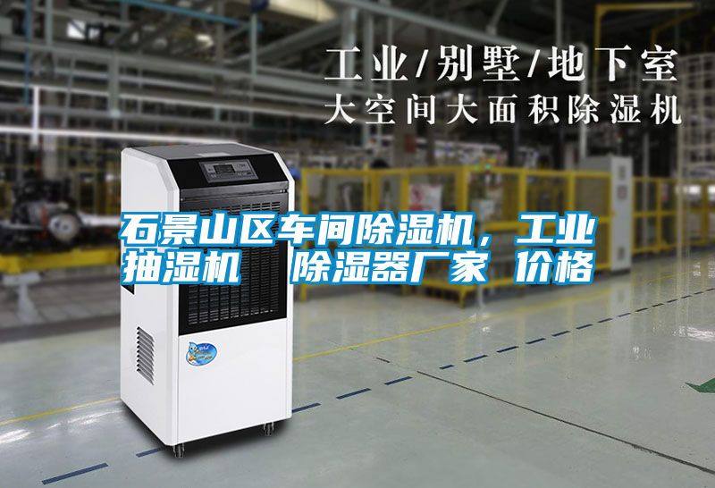 石景山區(qū)車(chē)間除濕機(jī)，工業(yè)抽濕機(jī)  除濕器廠家 價(jià)格
