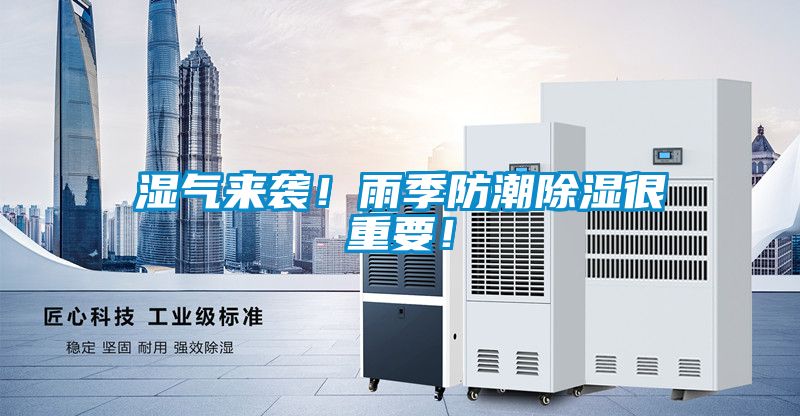 濕氣來襲！雨季防潮除濕很重要！